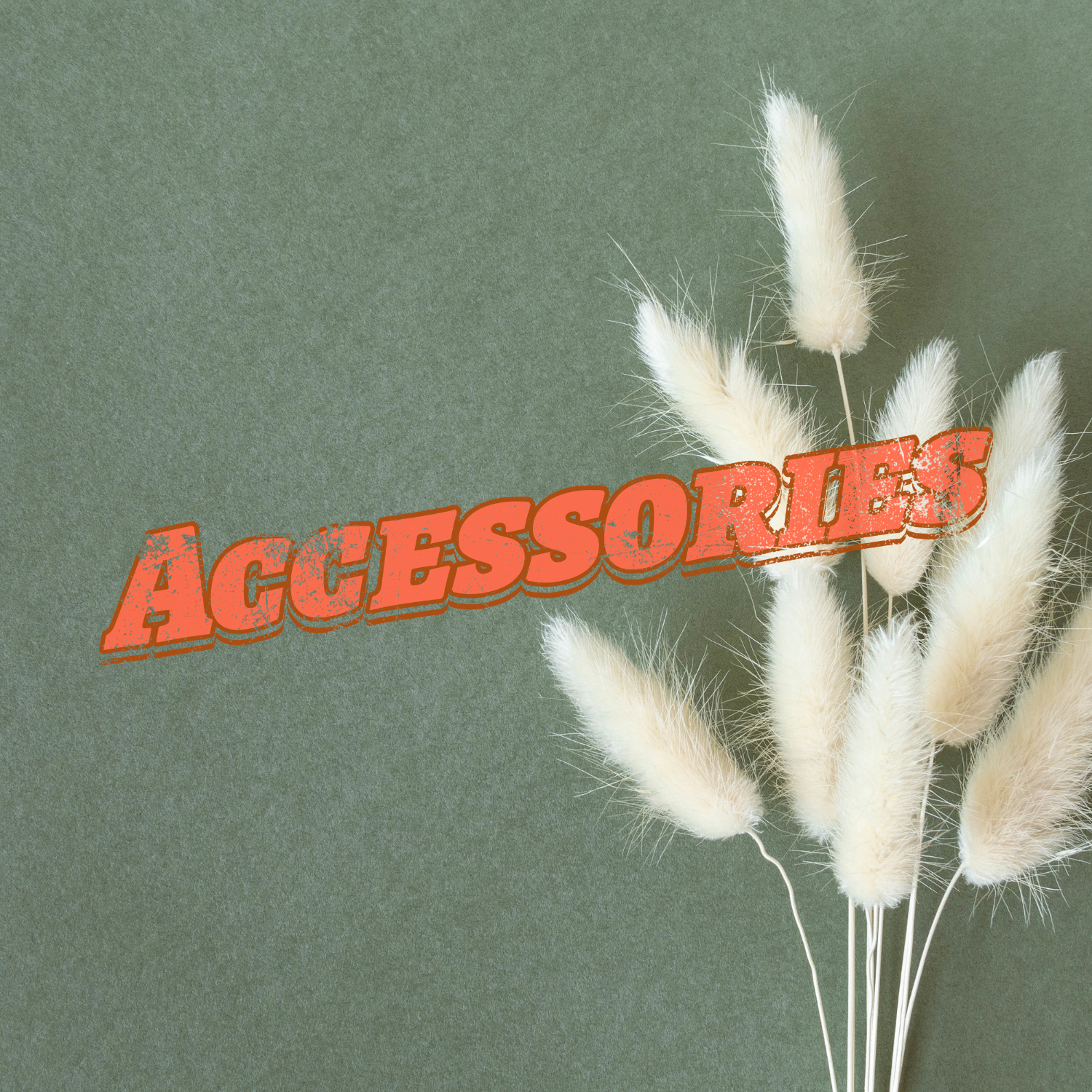 Accessories