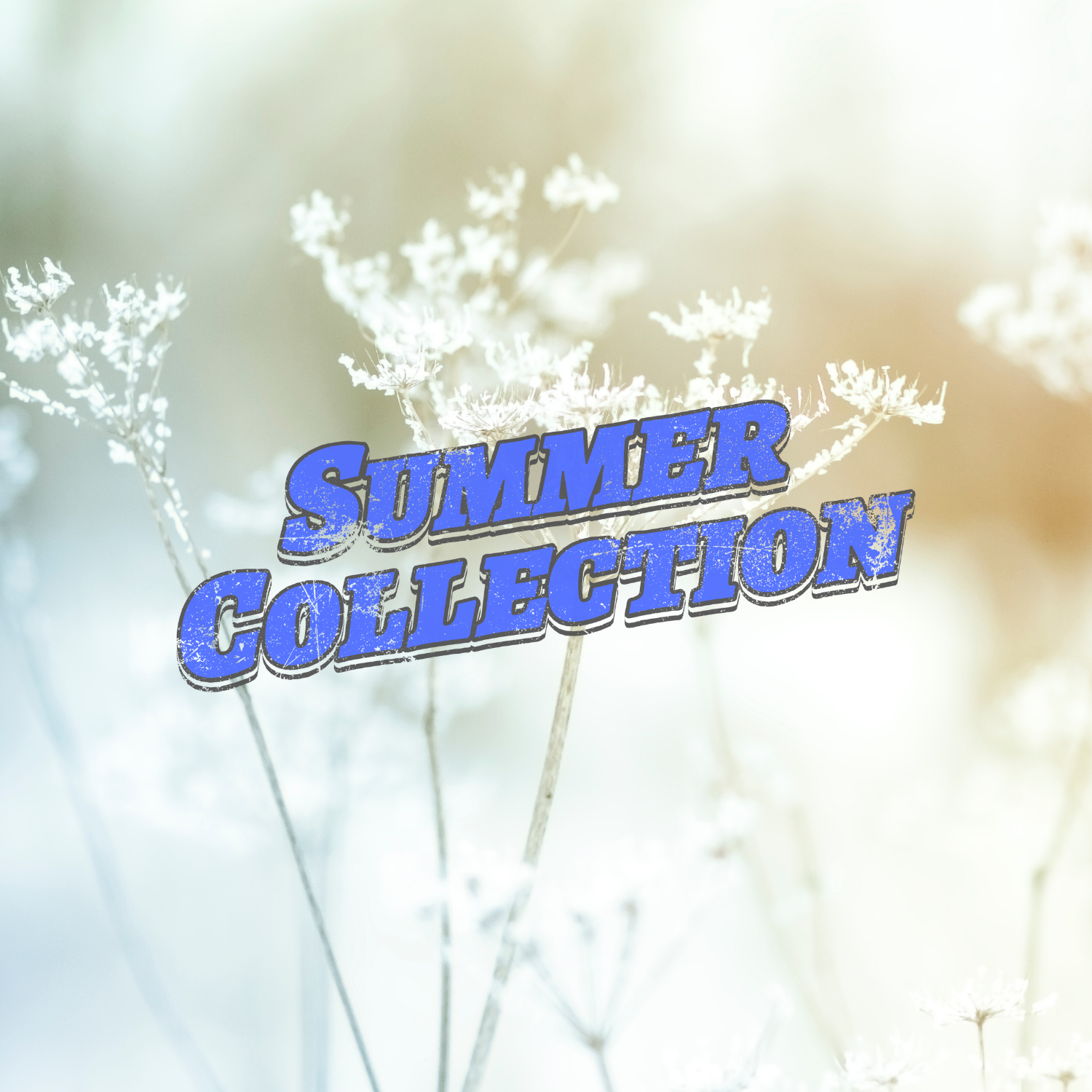 Summer Collection